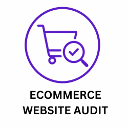Ecommerce-Website-Audit-v2