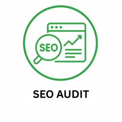 SEO Audit for small business owners