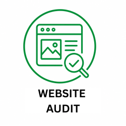 Website-Audit-v2