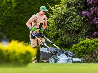 Beautiful landscaped garden or maintenance visit