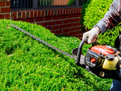 Gardener working on a landscaping project
