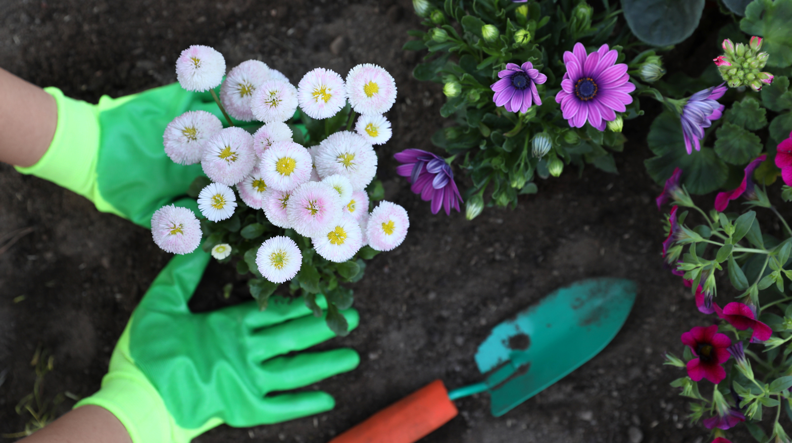 Gardener working in a garden